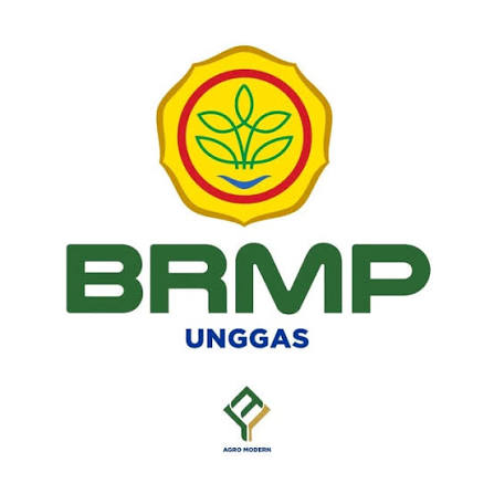 Foto Mitra BSIP
